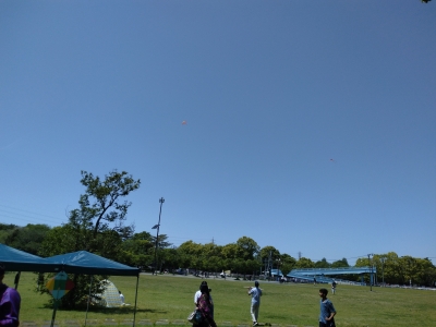 Kite Festival 2024